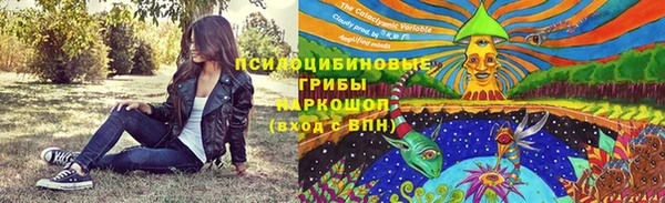каннабис Аркадак