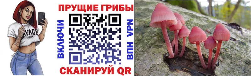 Галлюциногенные грибы MAGIC MUSHROOMS  darknet формула  Малмыж 